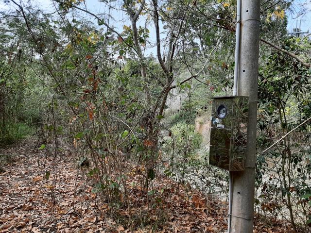 台南農地_建地-2