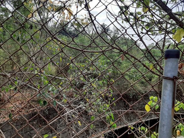 台南農地_建地-3