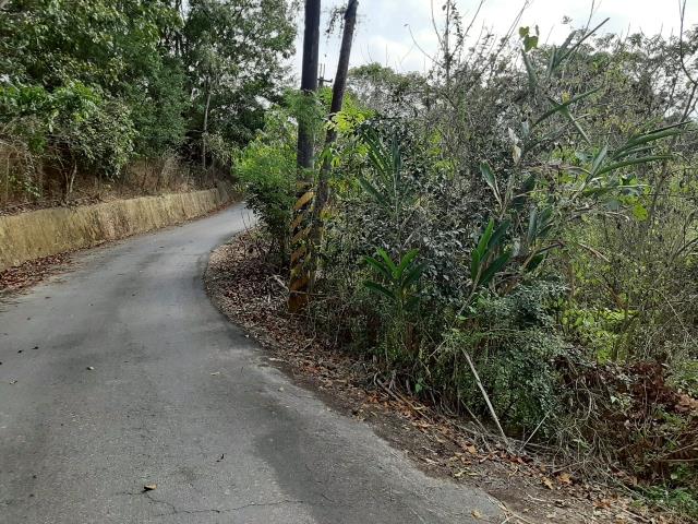 台南農地_建地-4