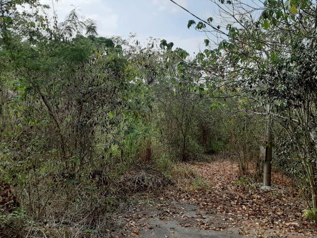 台南農地_建地-6