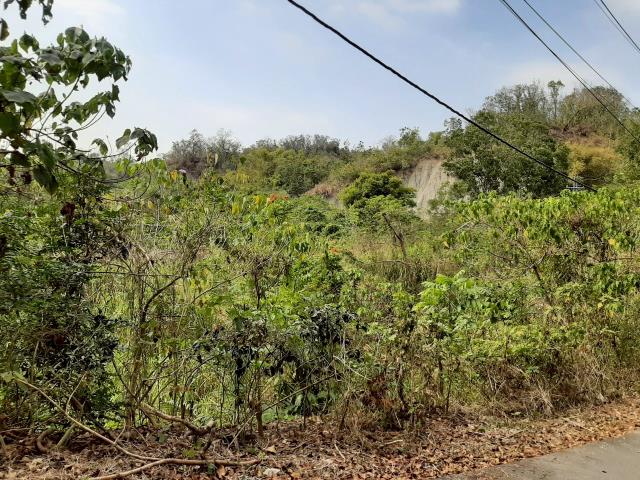 台南農地_建地-7