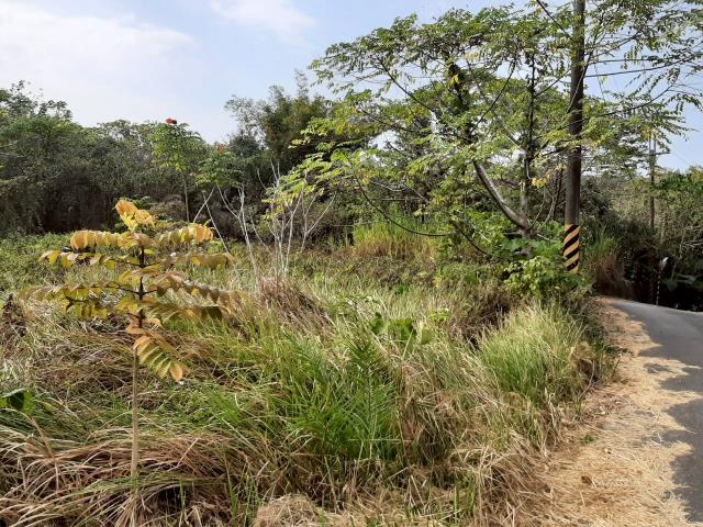 台南農地_建地-8