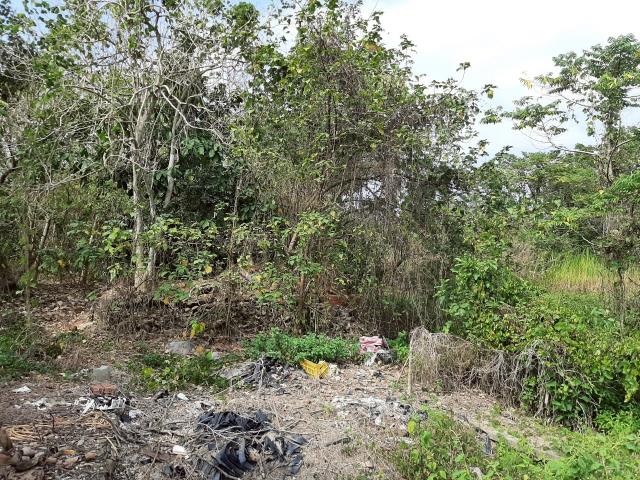 台南農地_建地-3