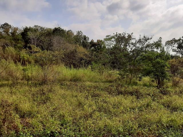 台南農地_建地-6