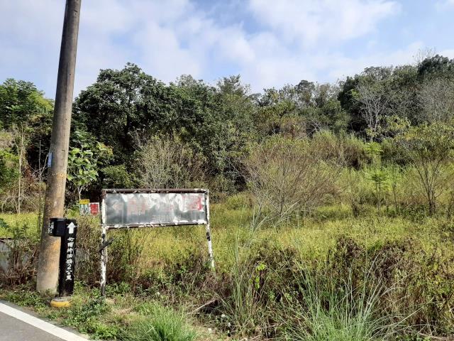 台南農地_建地-7