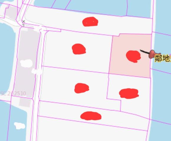 高雄湖內農地_養殖地-11