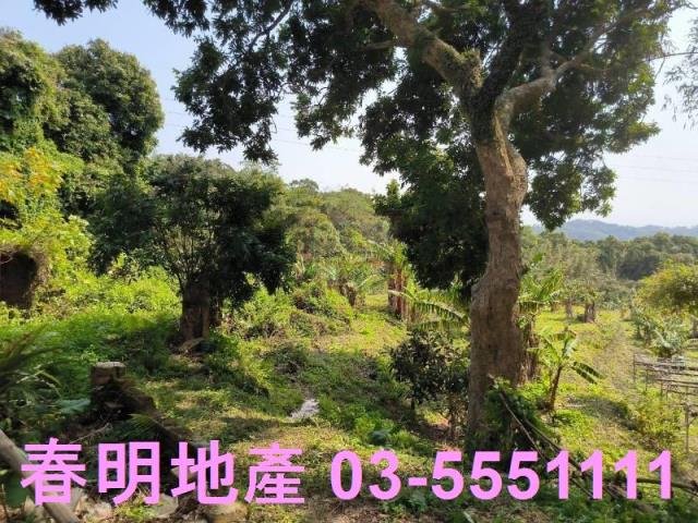 新竹竹東農地-5