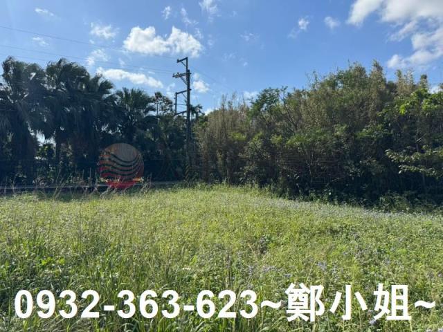 桃園大園農地-12