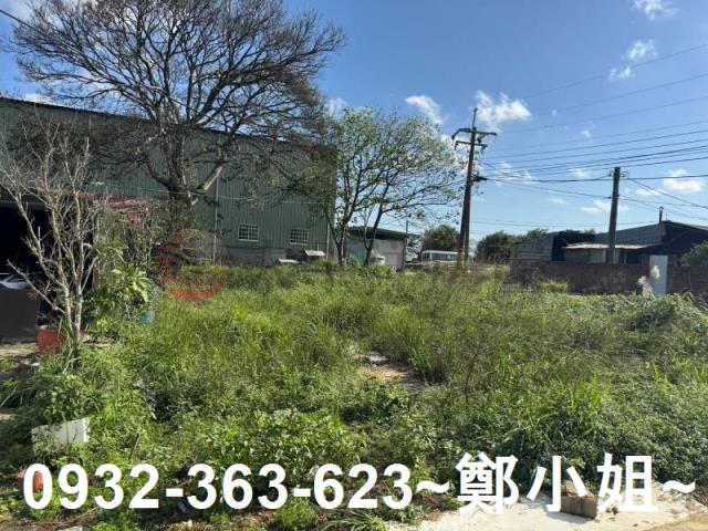 桃園大園農地-13