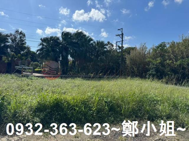 桃園大園農地-9