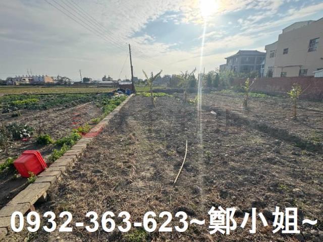 苗栗苑裡農地-9