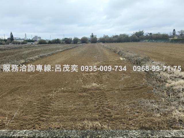 新屋農地-5