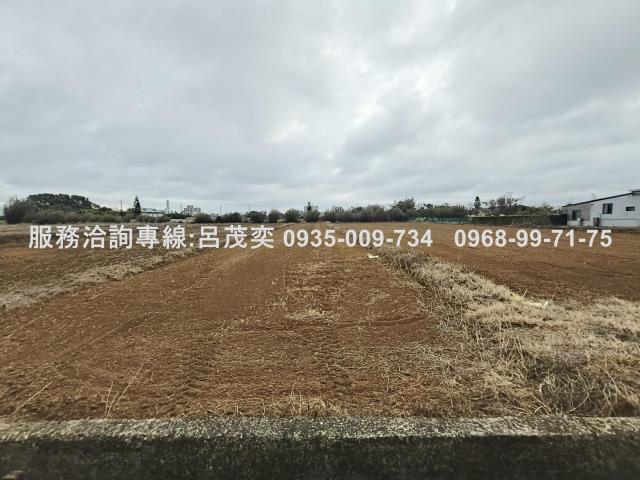 新屋農地-6