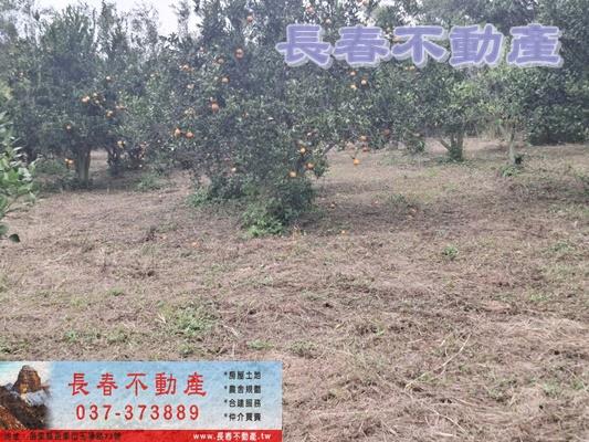 苗栗頭屋農地-1