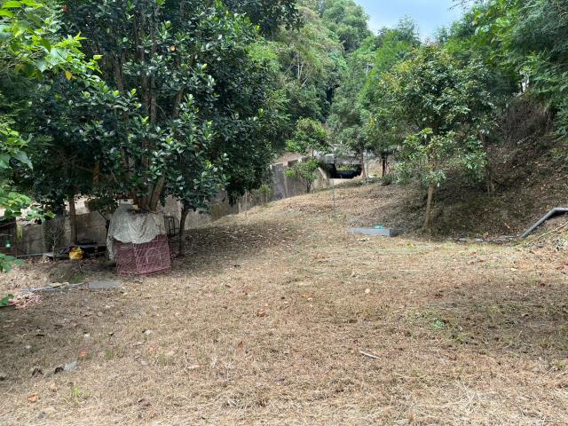 台中太平山坡地-10