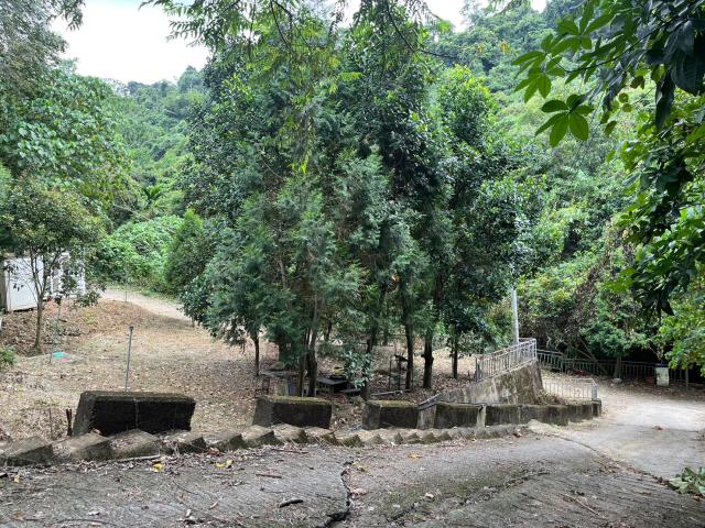 台中太平山坡地-6