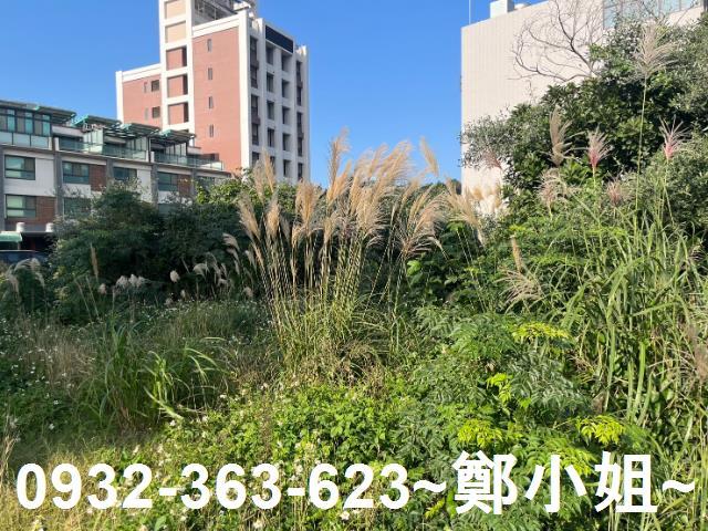 桃園觀音工業地-2