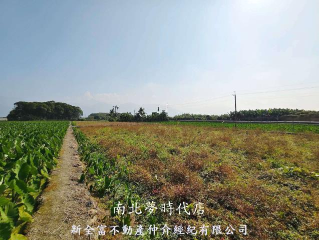 屏東高樹農地-6