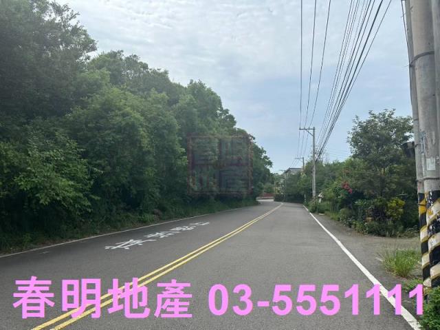 香山林地-6