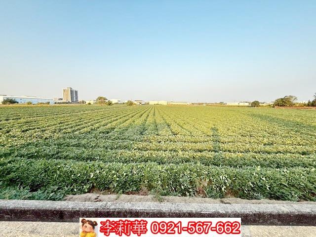新化農地-6