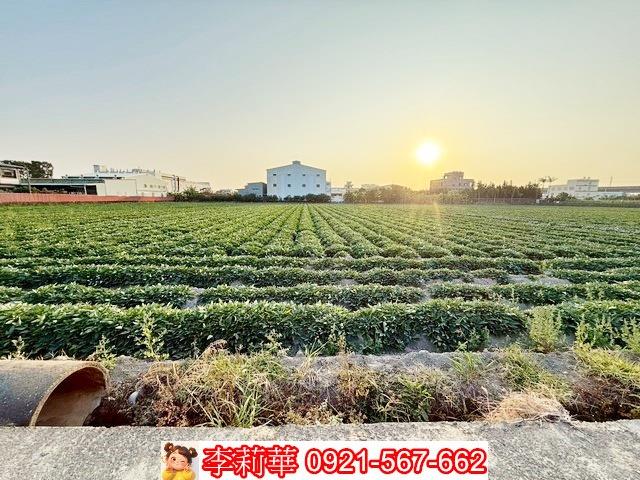 新化農地-7