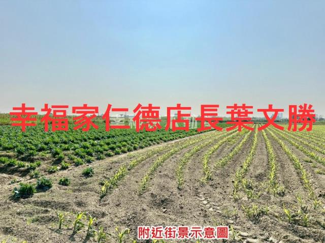 台南善化農地-2