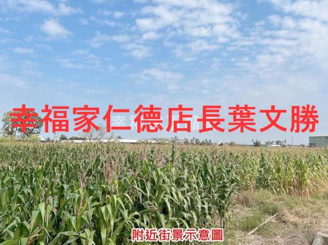 台南七股農地-5