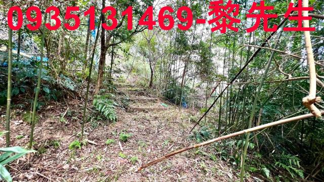 橫山農地_道路持份-11