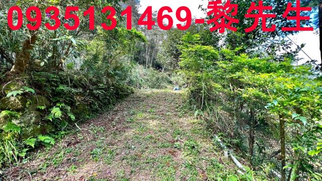 橫山農地_道路持份-4