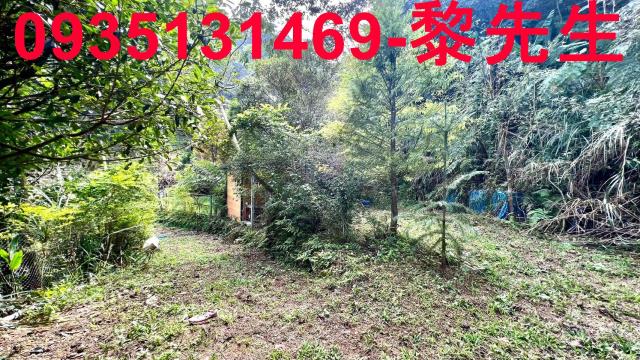 橫山農地_道路持份-5