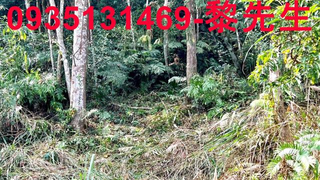 橫山農地_道路持份-9