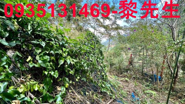 橫山農地_道路持份-6