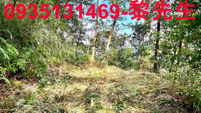 橫山農地_道路持份-7