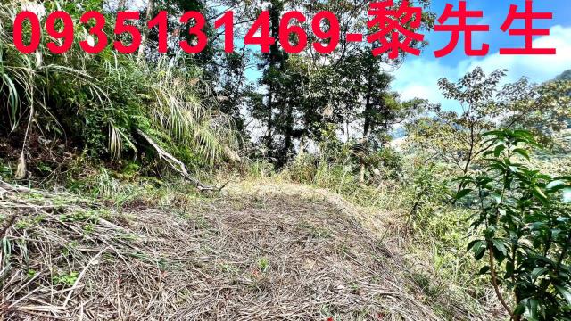 橫山農地_道路持份-8