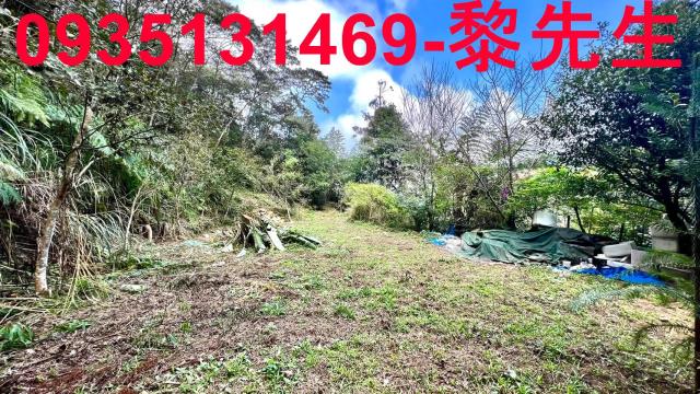 橫山農地_道路持份-9