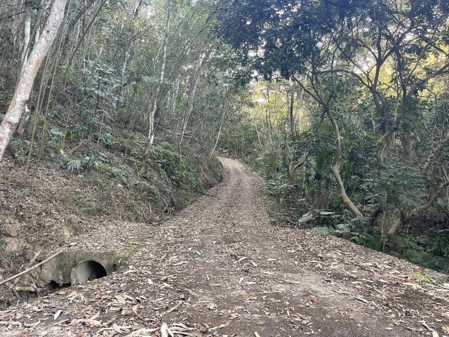 中寮林地-1