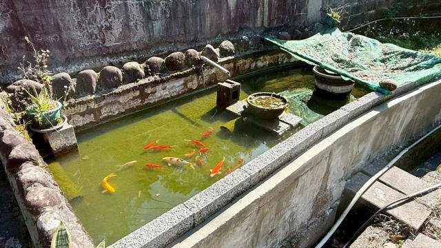 新竹橫山農地-15