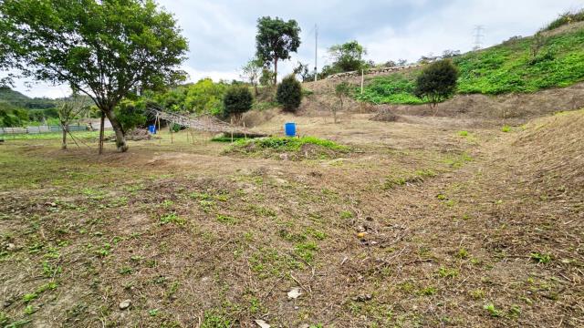 新竹北埔農地_林地-10