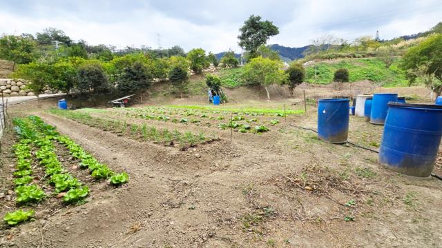 新竹北埔農地_林地-14