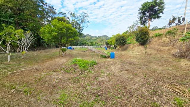 新竹北埔農地-14