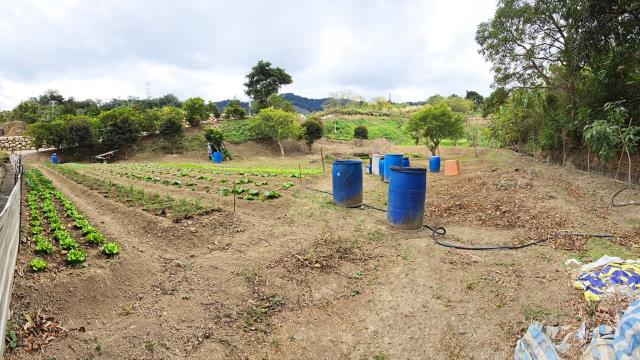 新竹北埔農地_林地-1