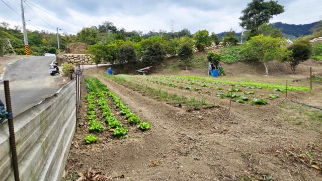 新竹北埔農地_林地-5