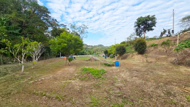 新竹北埔農地_林地-7