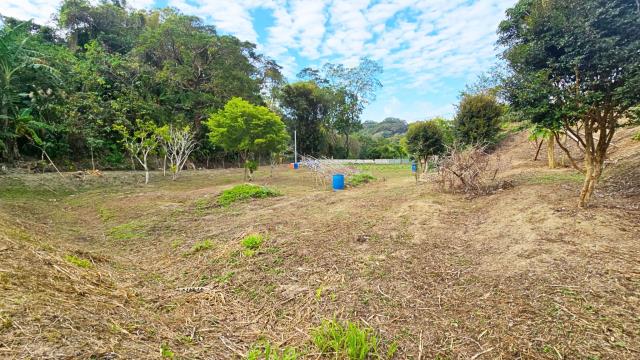 新竹北埔農地_林地-8