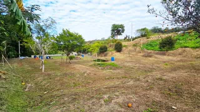 新竹北埔農地-8