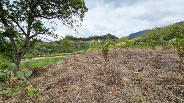 新竹北埔農地-9