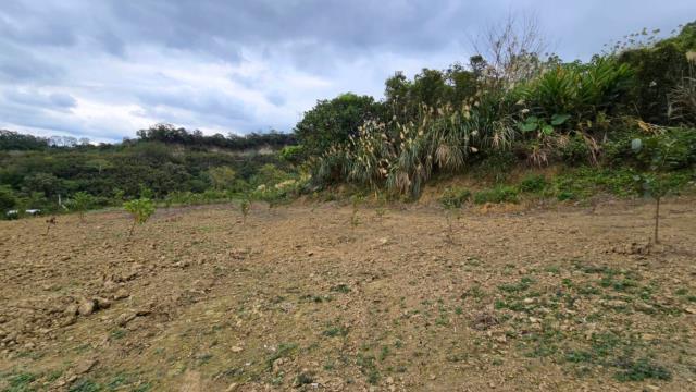 新竹北埔農地_道路地-11