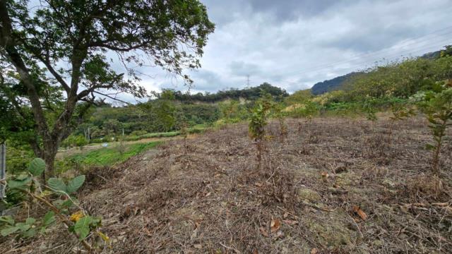 新竹北埔農地_道路地-13