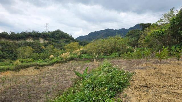 新竹北埔農地_道路地-4