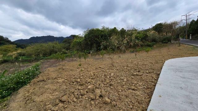 新竹北埔農地_道路地-5